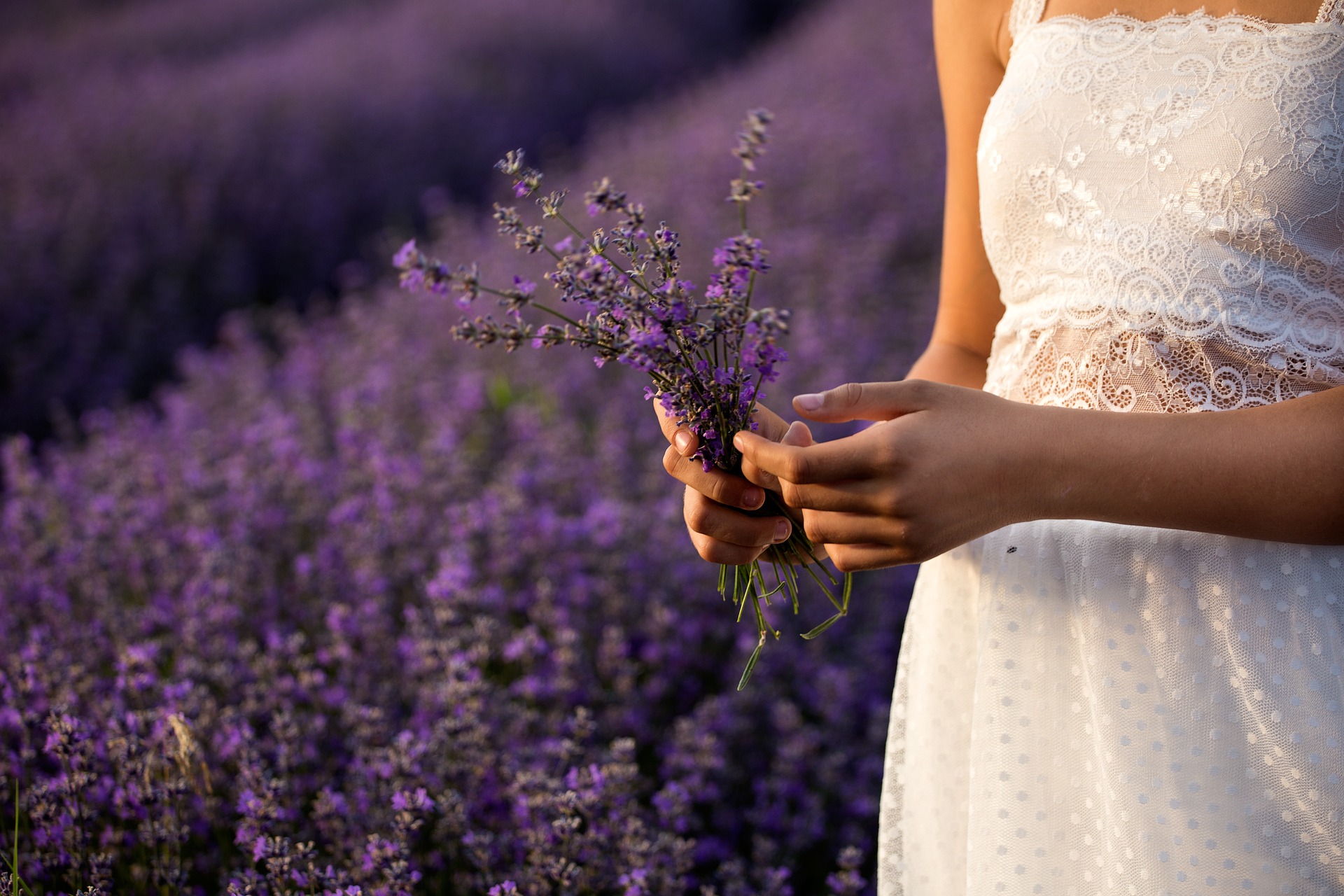 Eine Frau hält ein Strauss Lavendel in der Hand.
